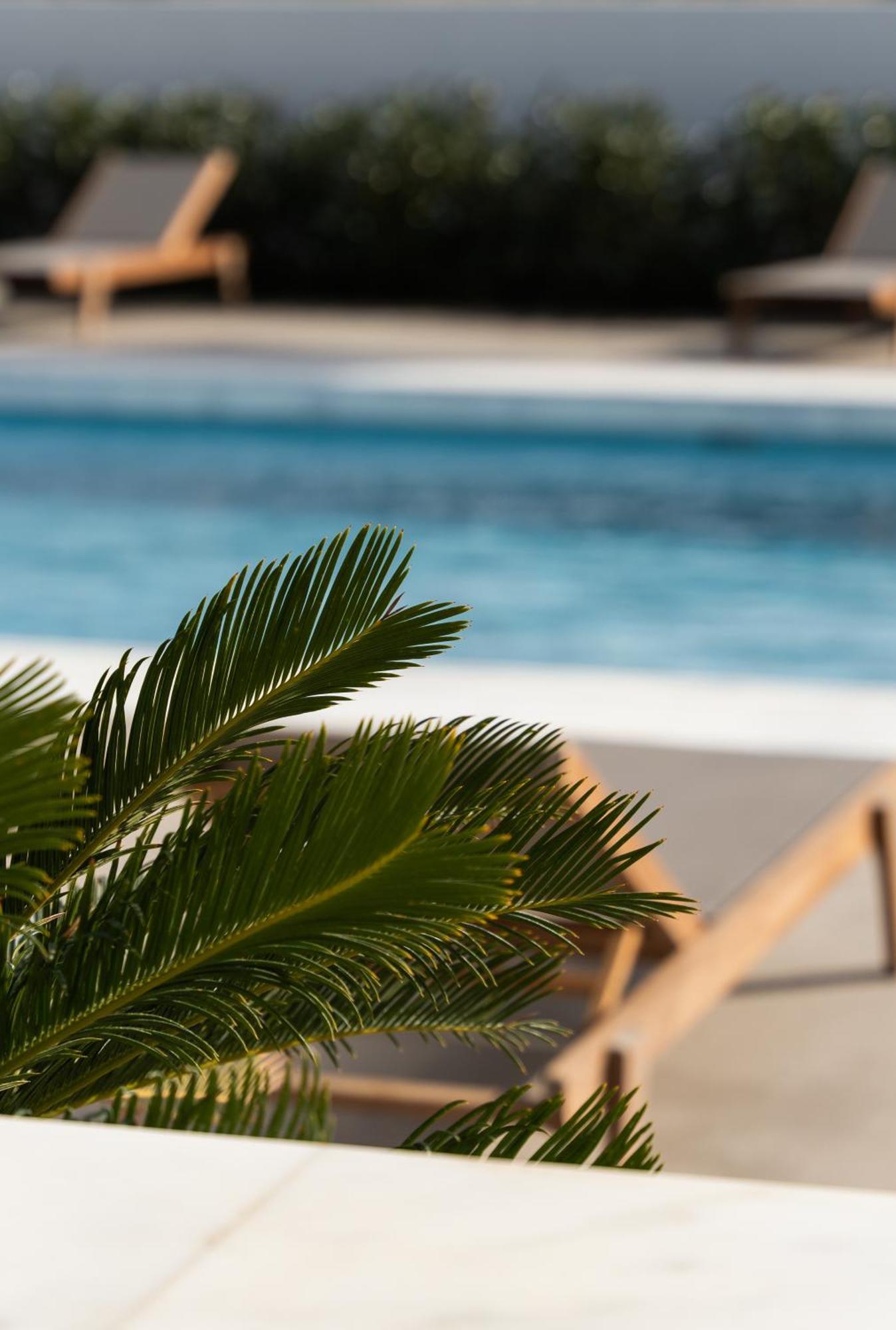 Tzanis Resort Skyros Zewnętrze zdjęcie
